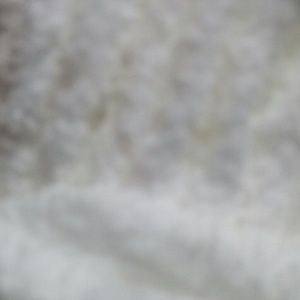 Meet your Posher, Francis